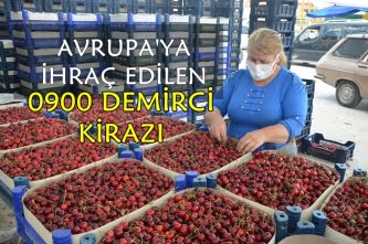 Avrupa’nın Tercihi Demirci Kirazı