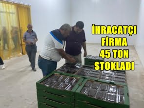 0900 Demirci Kirazı Sonbahar’da da Tüketiciye Sunulacak