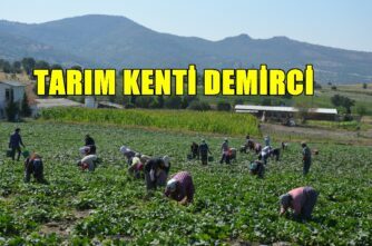 Demirci’de Atıl Araziler Barajlarla Hayat Buluyor…